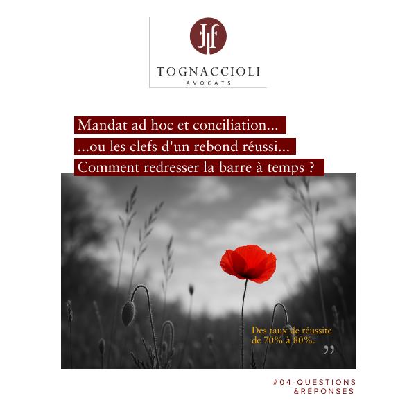 Couverture de la fiche « Mandat ad hoc et conciliation »